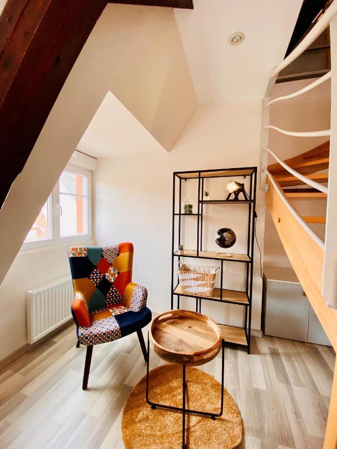 L'Envolee Alsacienne - Magnifique Appartement En Duplex Устхайм Екстериор снимка